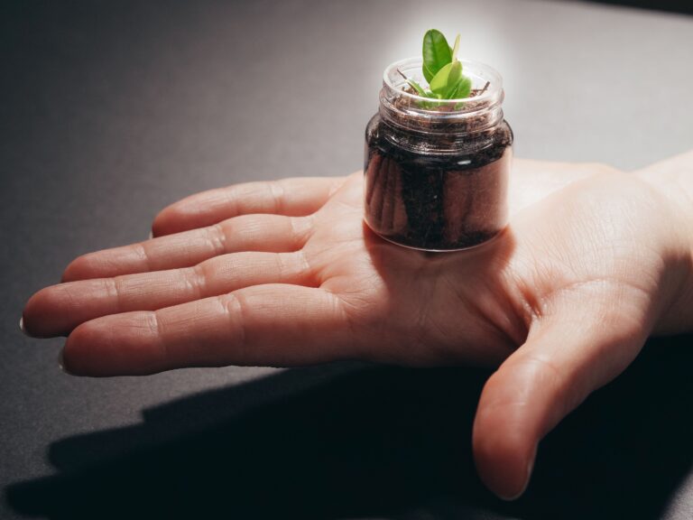 Habit Formation Explained Simply: Why Small Actions Shape Your Entire Life